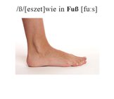 Fuß