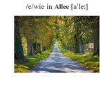 Allee