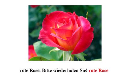 rot Rose